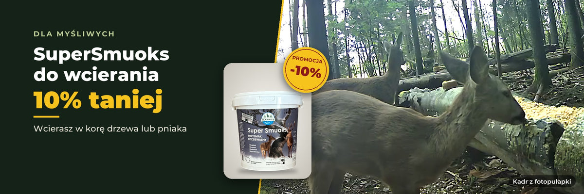 Masals promocja