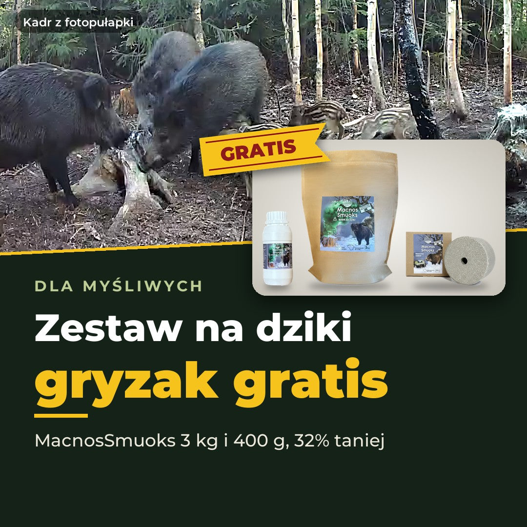 Masals promocja