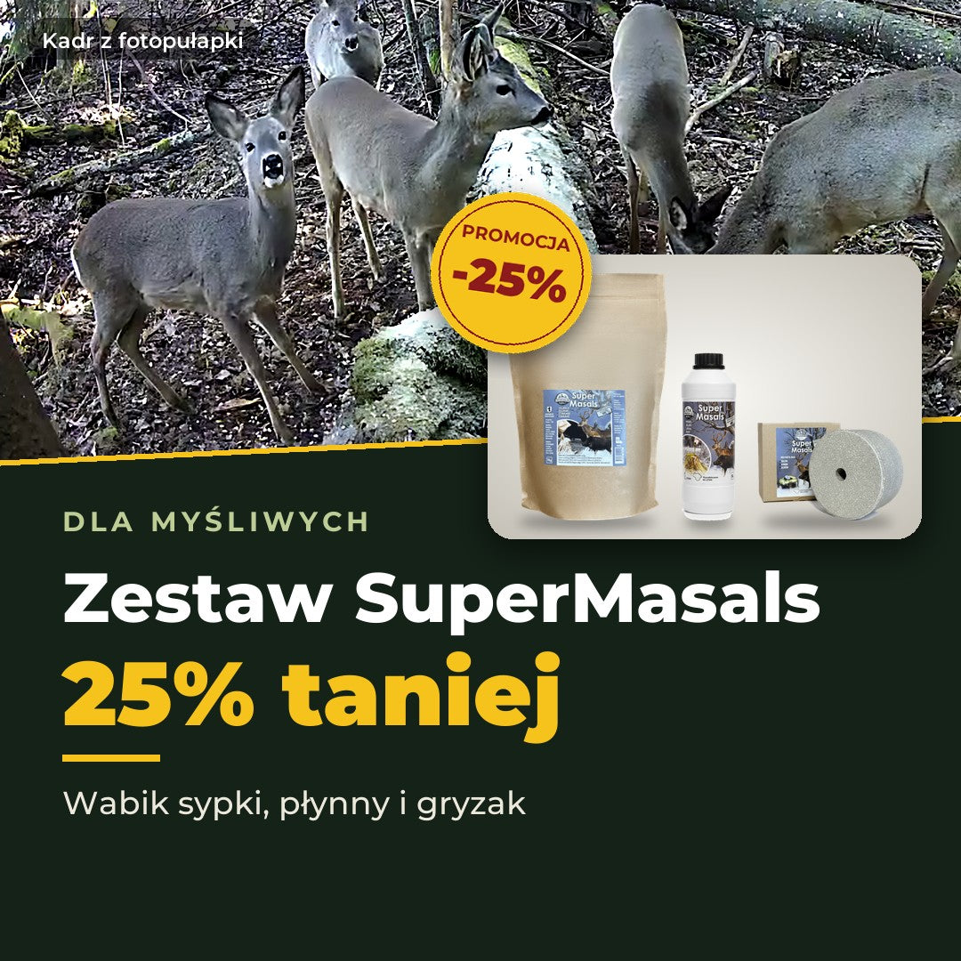 Masals promocja