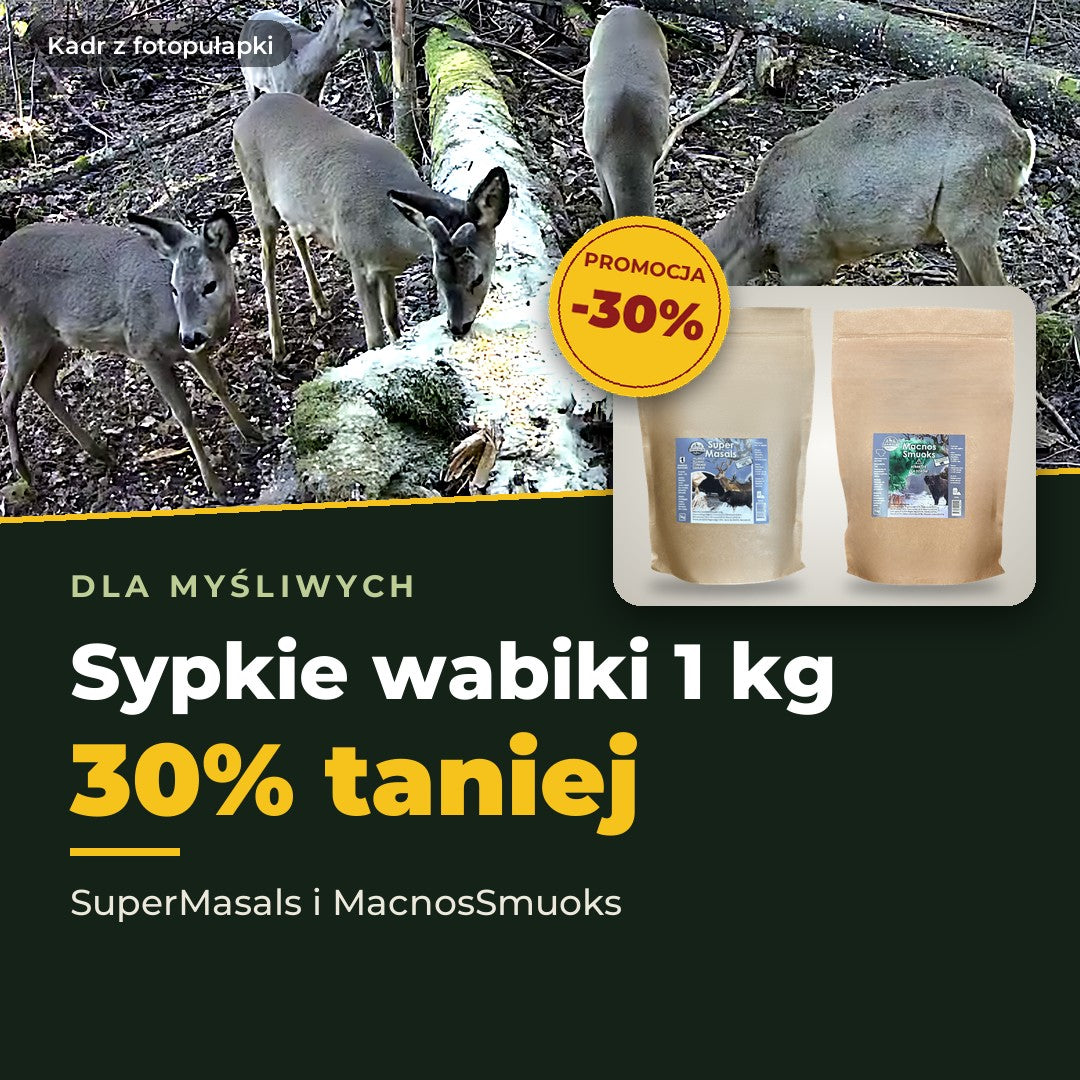 Masals promocja