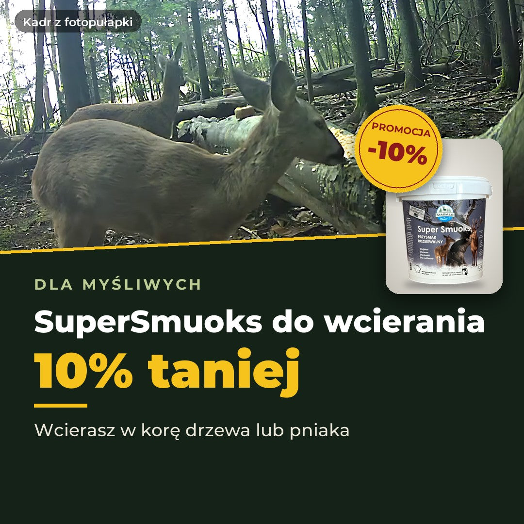 Masals promocja