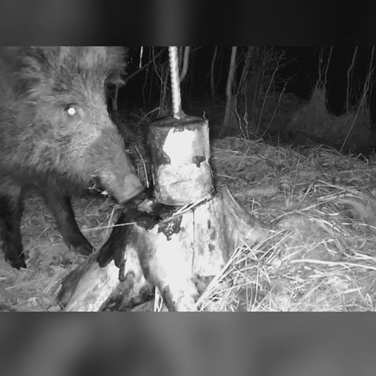 Gryzak MacnosSmuoks: dziki obgryzają gryzak